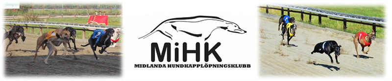 Midlanda Hundkapplöpningsklubb